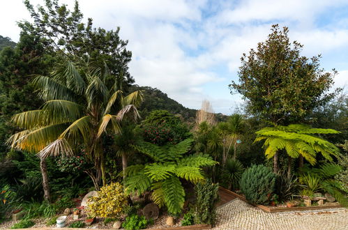 Foto 36 - Casa con 3 camere da letto a Sintra con piscina privata e giardino