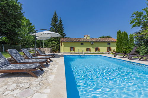 Photo 18 - Maison de 3 chambres à Sveta Nedelja avec piscine privée et jardin