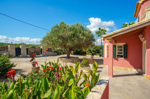 Photo 36 - 2 bedroom House in Alcúdia with private pool and garden