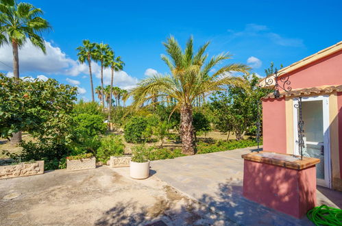 Photo 38 - Maison de 2 chambres à Alcúdia avec piscine privée et jardin