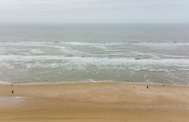 Casa de 1 quarto em Egmond aan Zee com jardim e terraço - Foto 32