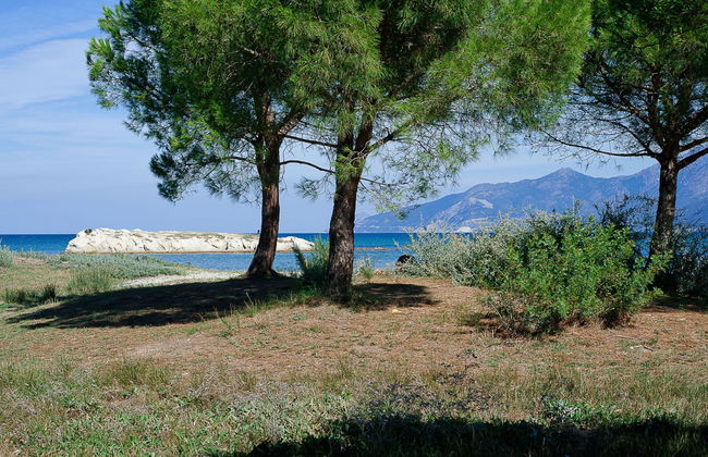 Apartment mit 1 Schlafzimmer in Saint-Florent mit schwimmbad und terrasse - Foto 18