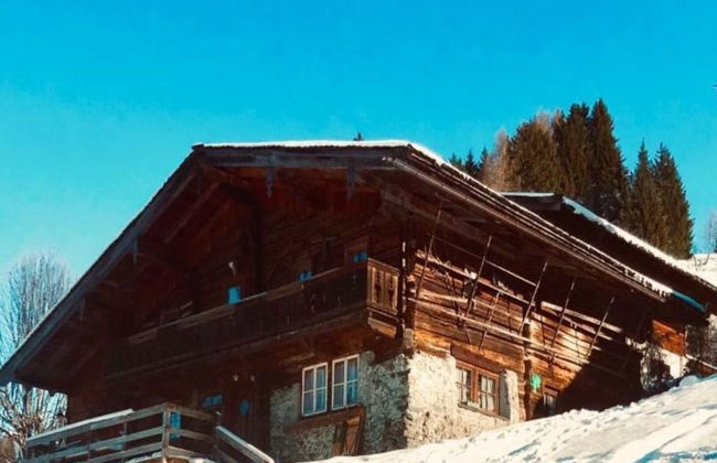 Casa de 5 quartos em Hollersbach im Pinzgau com jardim e terraço - Foto 34