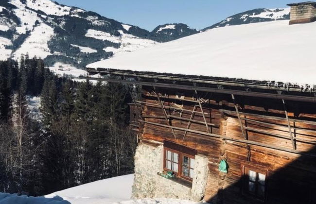 Casa de 5 quartos em Hollersbach im Pinzgau com jardim e terraço - Foto 39