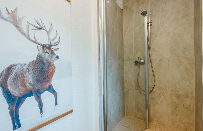 Casa de 5 quartos em Hollersbach im Pinzgau com jardim e terraço - Foto 24