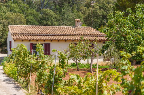 Photo 36 - 4 bedroom House in Pollença with private pool and garden