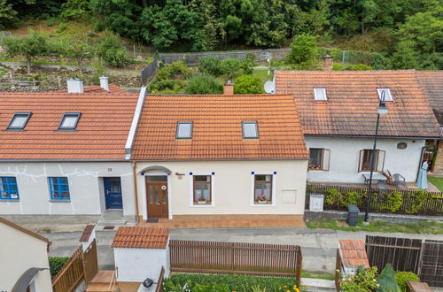 Foto 30 - Haus mit 2 Schlafzimmern in Bechyně mit garten und terrasse