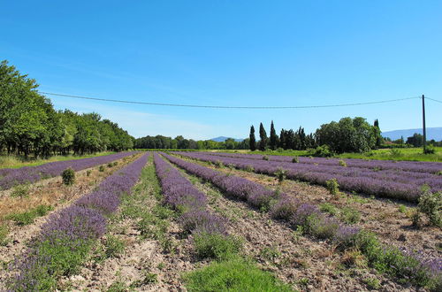 Photo 36 - 4 bedroom House in Richerenches with private pool and garden