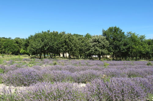 Photo 37 - Maison de 4 chambres à Richerenches avec piscine privée et jardin