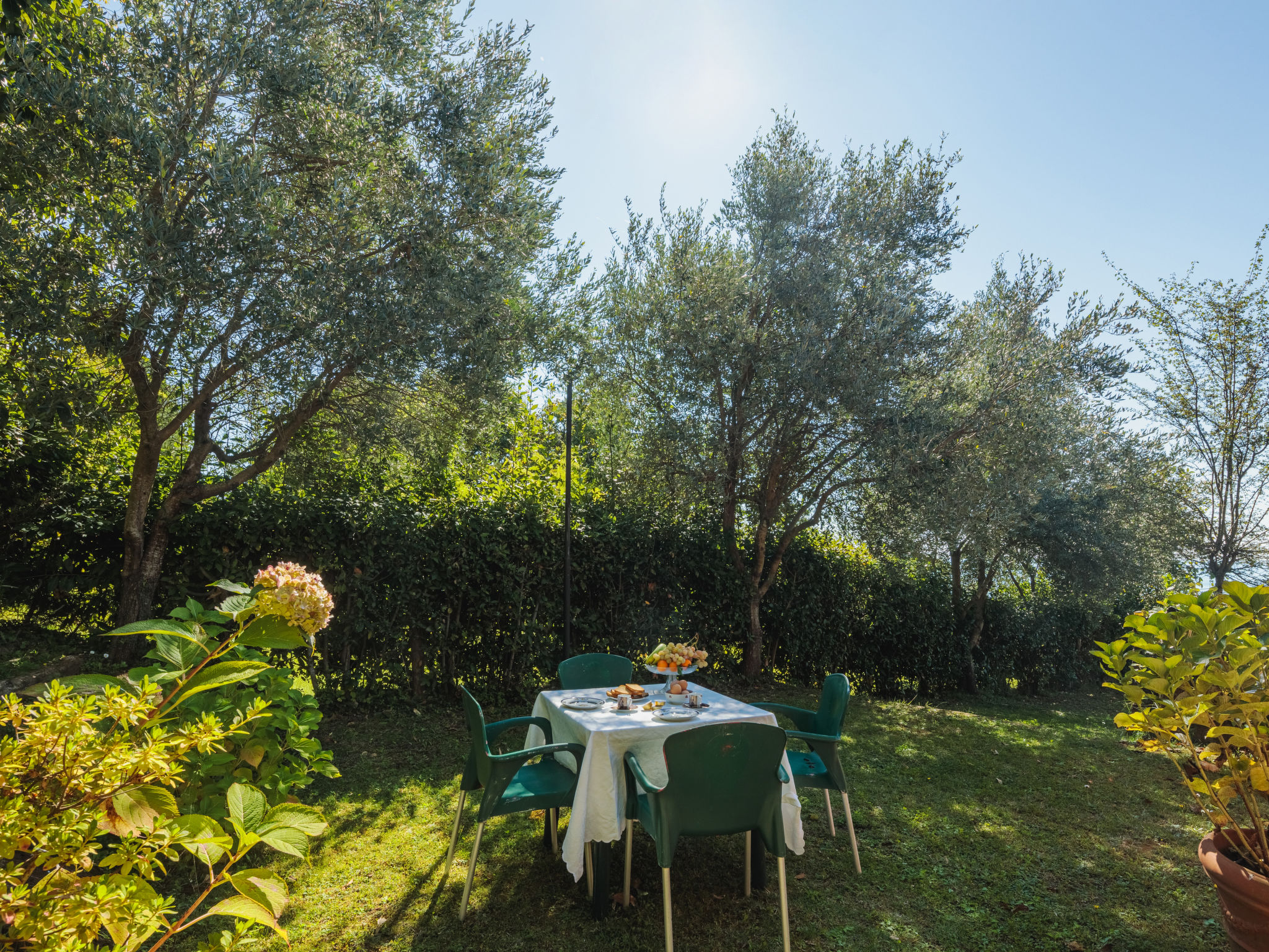 Foto 30 - Appartamento con 2 camere da letto a Massa con giardino