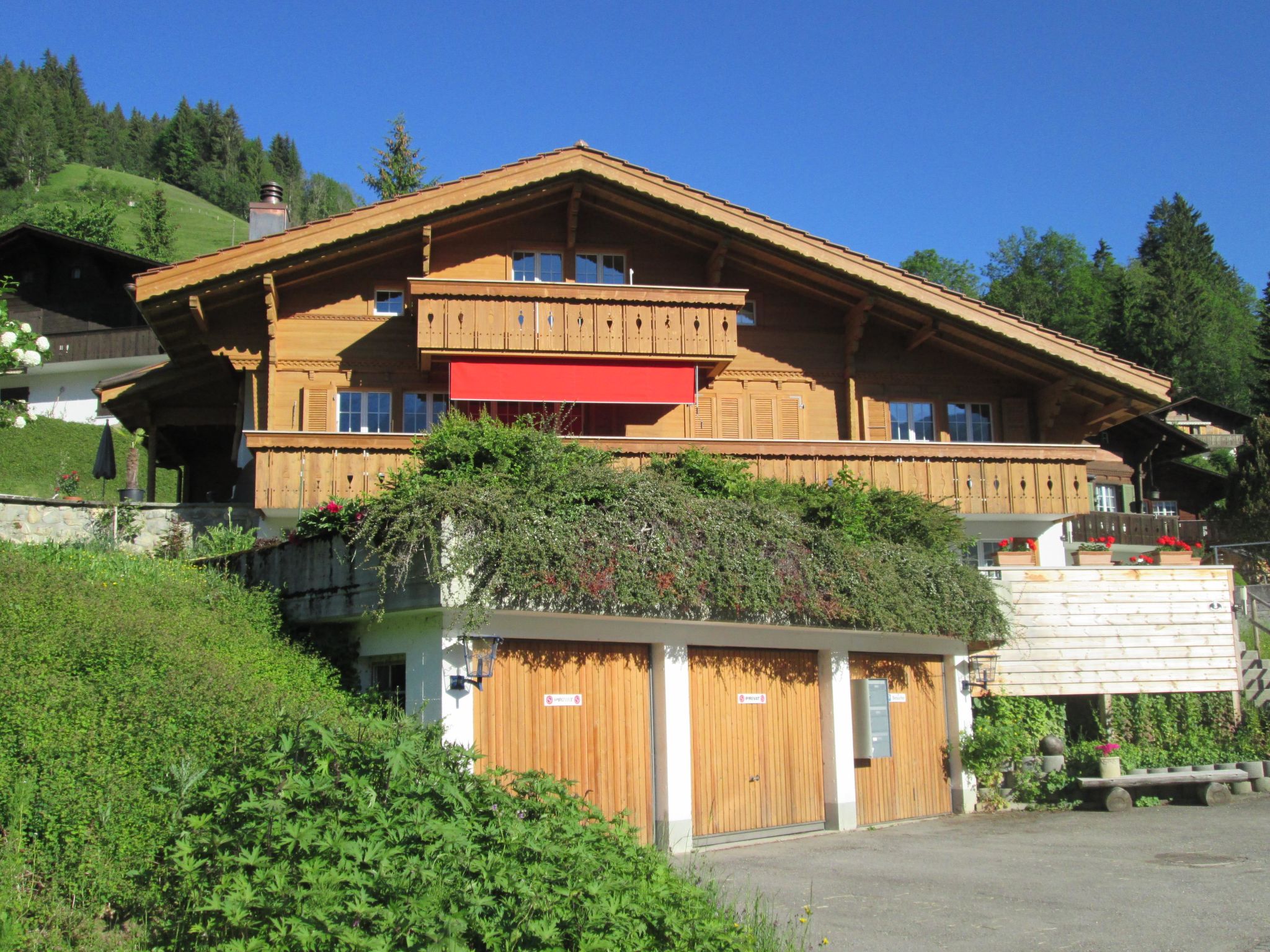 Foto 2 - Apartamento de 2 quartos em Lenk com vista para a montanha