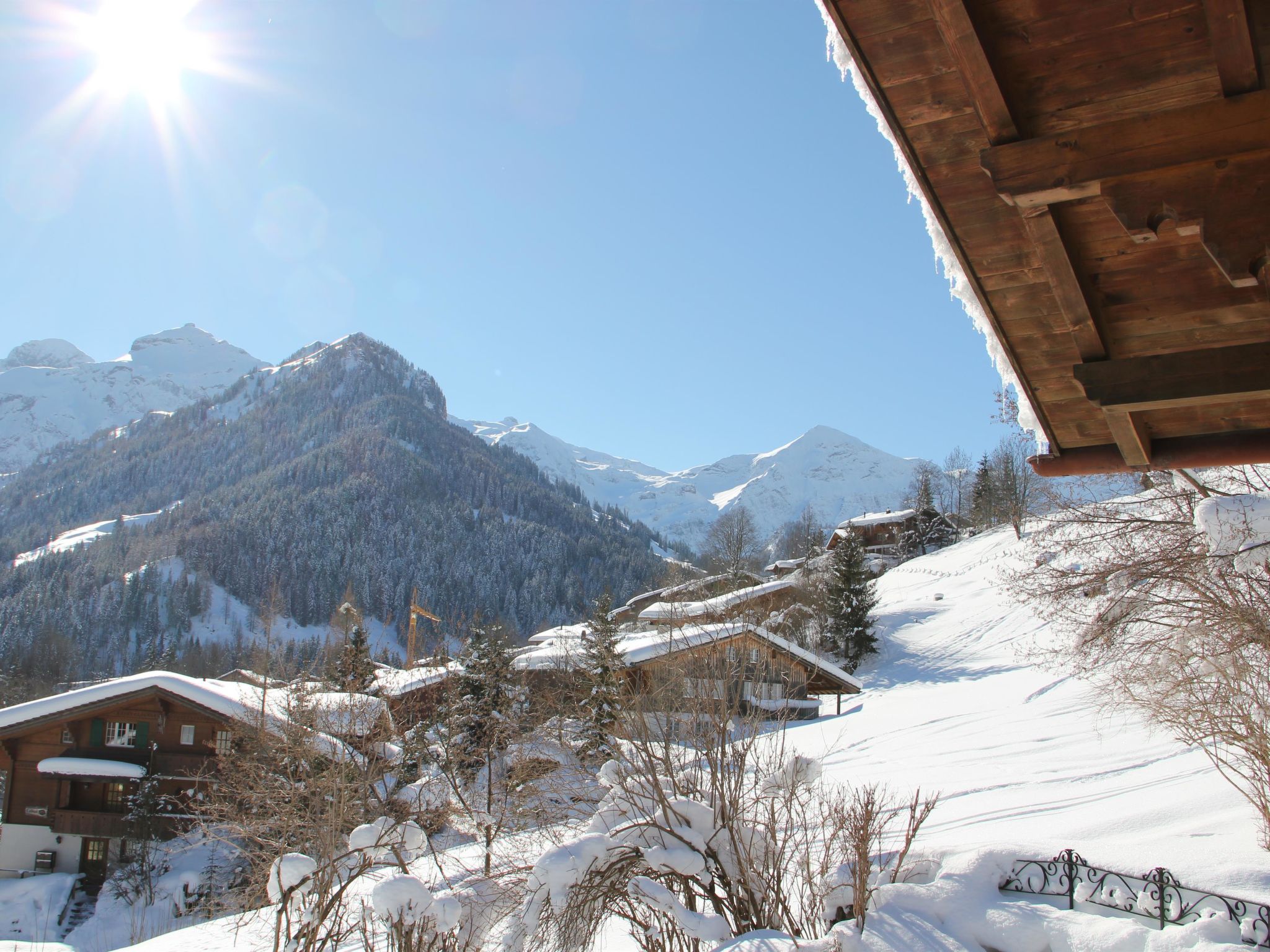 Foto 18 - Appartamento con 2 camere da letto a Lenk con vista sulle montagne