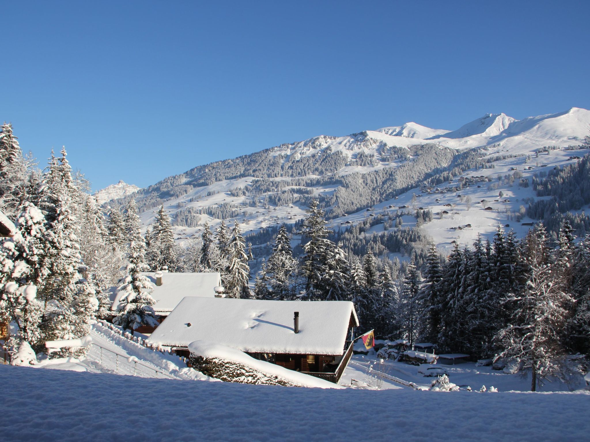 Foto 15 - Appartamento con 2 camere da letto a Lenk con vista sulle montagne