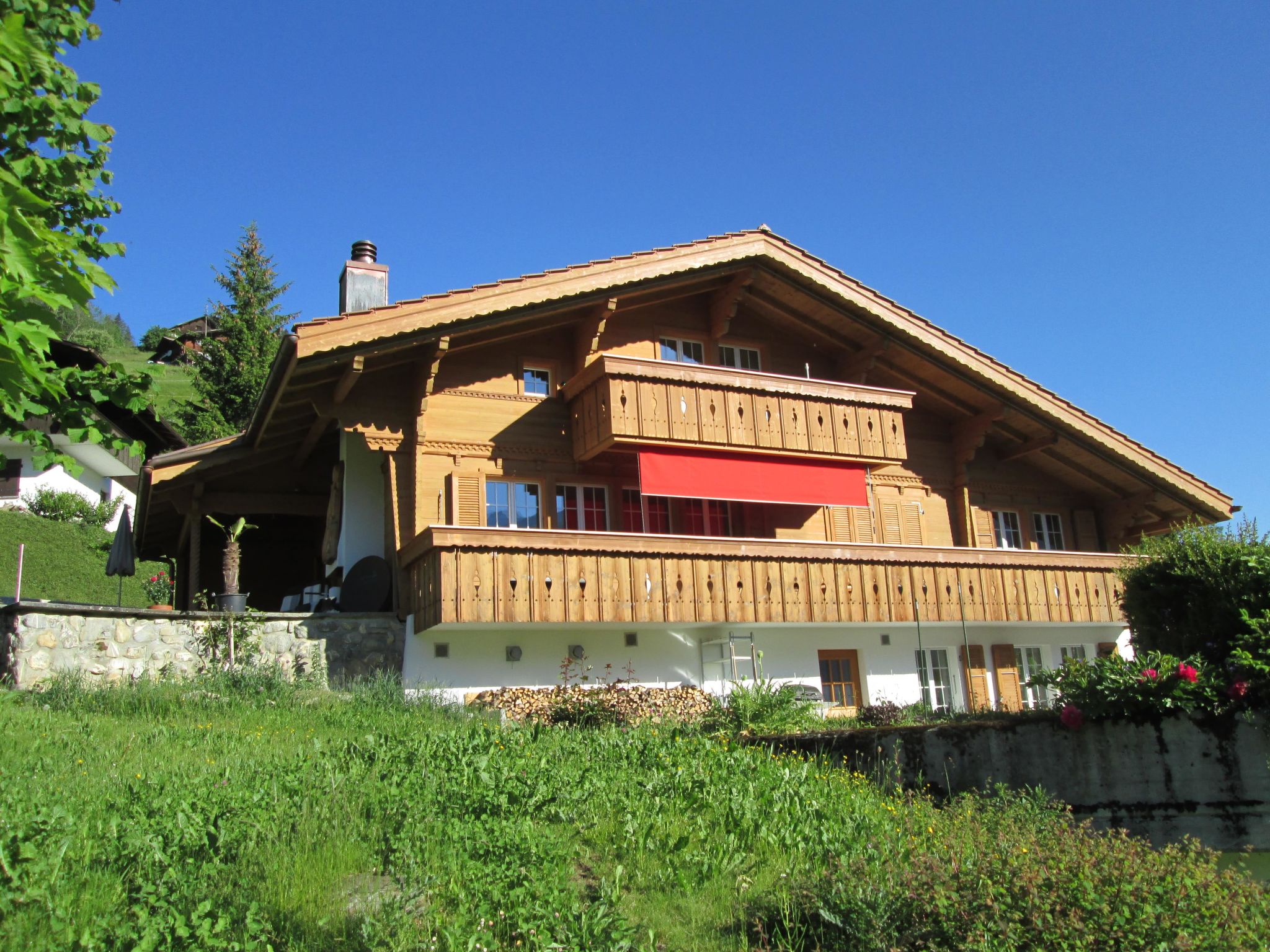 Foto 1 - Apartment mit 2 Schlafzimmern in Lenk mit blick auf die berge