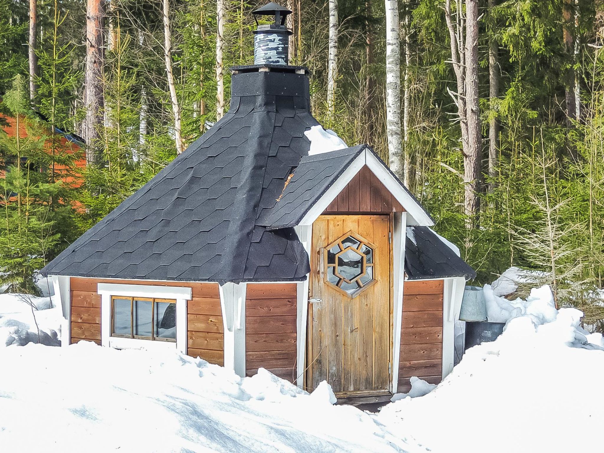 Foto 29 - Casa con 2 camere da letto a Lieksa con sauna
