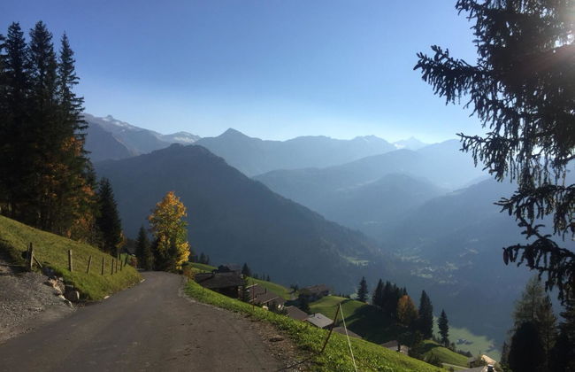 Apartamento de 1 quarto em Lenk - Foto 3