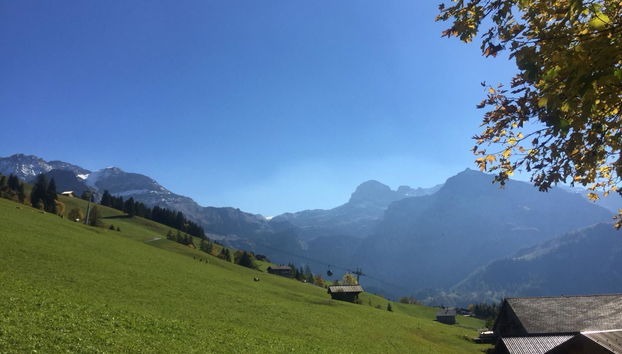 Apartamento de 1 quarto em Lenk - Foto 4