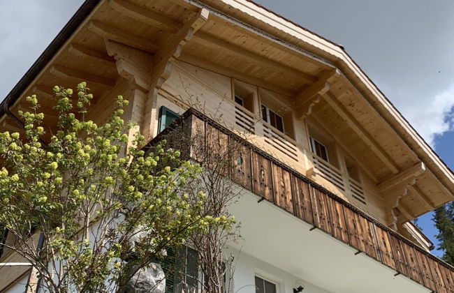Apartamento de 1 quarto em Lenk - Foto 1