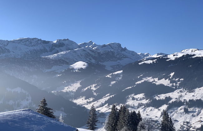 Apartamento de 1 quarto em Lenk - Foto 6