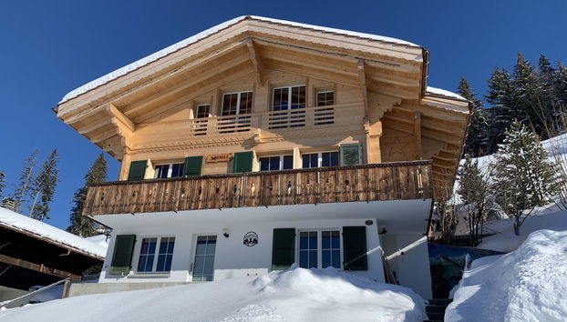 Apartamento de 1 quarto em Lenk - Foto 2