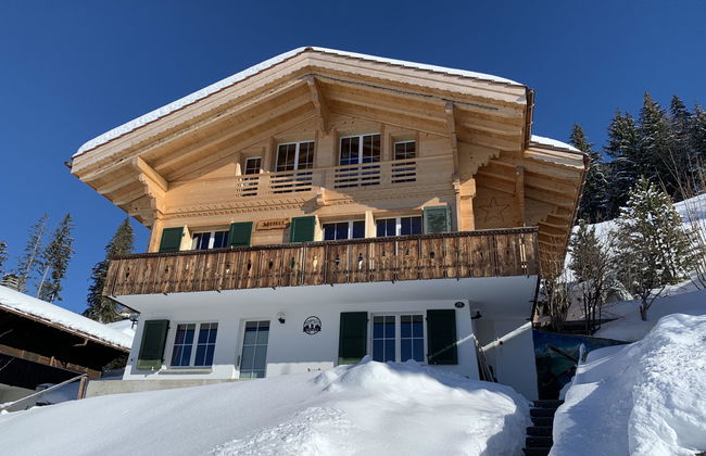 Apartamento de 1 quarto em Lenk - Foto 2