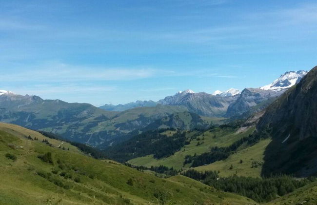 Apartamento de 1 quarto em Lenk - Foto 13