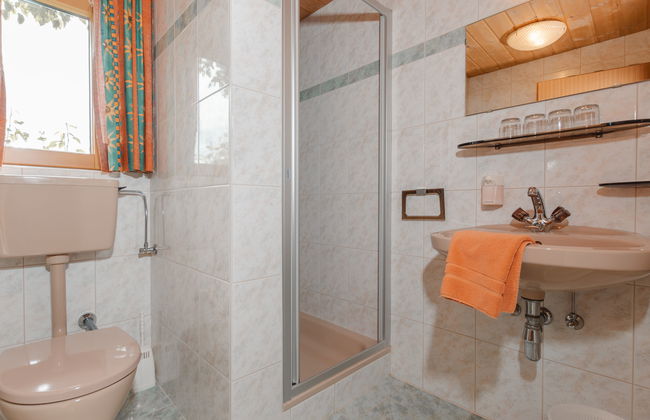 Apartamento de 11 quartos em Hollersbach im Pinzgau com jardim e terraço - Foto 4