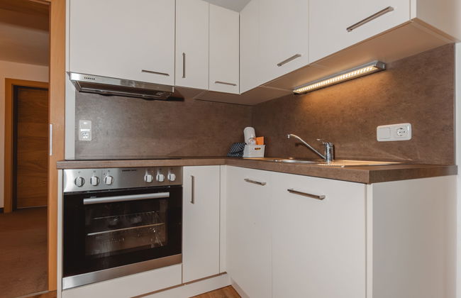 Apartamento de 11 quartos em Hollersbach im Pinzgau com jardim e terraço - Foto 18
