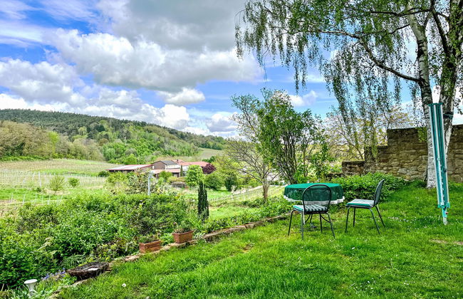 Appartamento con 2 camere da letto a Bad Dürkheim con giardino e terrazza - Foto 13