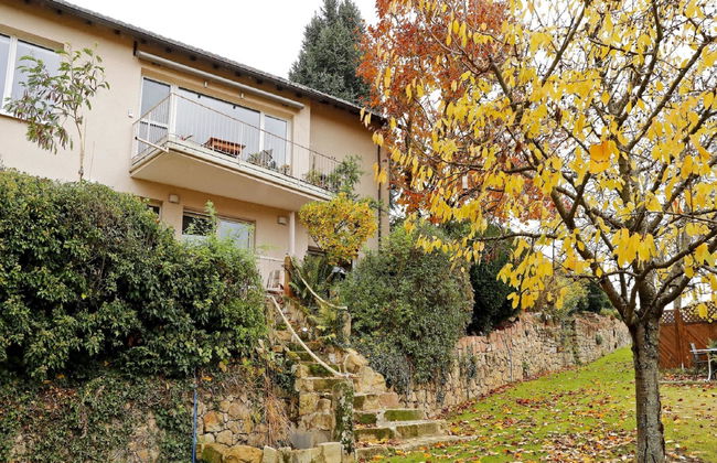 Appartamento con 2 camere da letto a Bad Dürkheim con giardino e terrazza - Foto 11