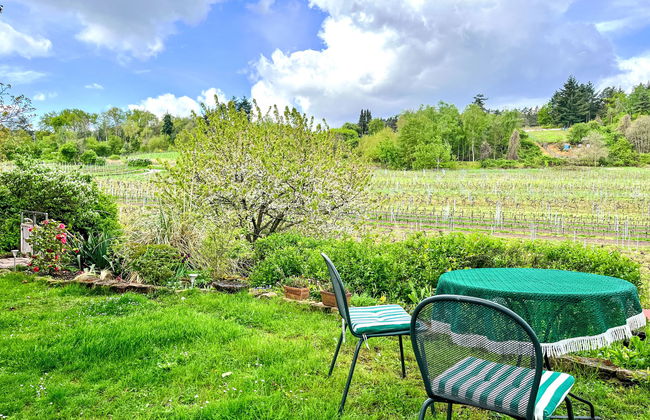Appartamento con 2 camere da letto a Bad Dürkheim con giardino e terrazza - Foto 14