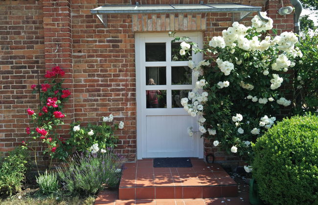 Casa de 3 quartos em Lärz com jardim e terraço - Foto 20