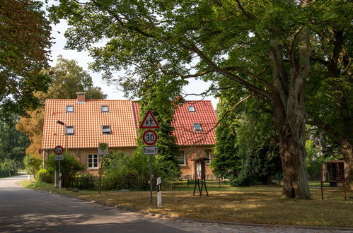 Photo 19 - Maison de 3 chambres à Lärz avec jardin et terrasse