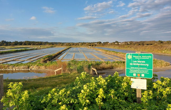Apartamento de 3 quartos em Noirmoutier-en-l'Île com piscina e terraço - Foto 27