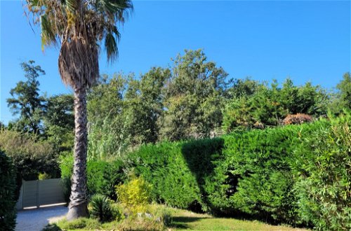 Foto 18 - Casa a Gassin con giardino e vista mare