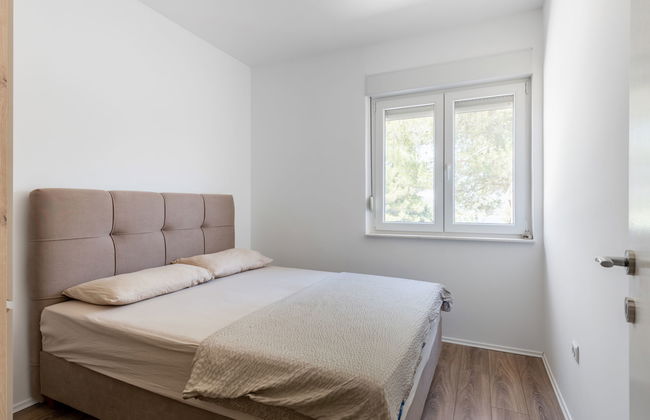 Maison de 4 chambres à Novigrad avec jardin et terrasse - Photo 8