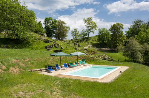 Foto 30 - Casa con 2 camere da letto a Fabbriche di Vergemoli con piscina e giardino