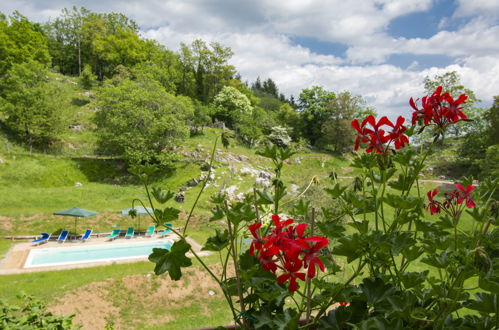 Foto 36 - Casa con 2 camere da letto a Fabbriche di Vergemoli con piscina e giardino