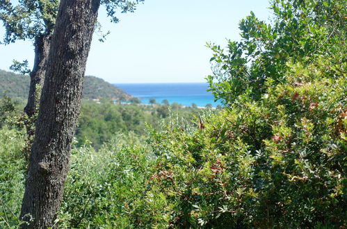 Photo 11 - House in Zonza with swimming pool and garden