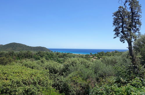 Foto 4 - Casa a Zonza con piscina e giardino