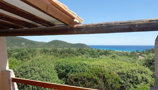 Casa de 1 quarto em Zonza com piscina e jardim - Foto 2
