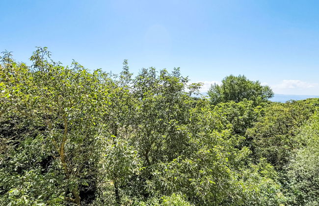 Appartamento con 3 camere da letto a Savona con giardino - Foto 25