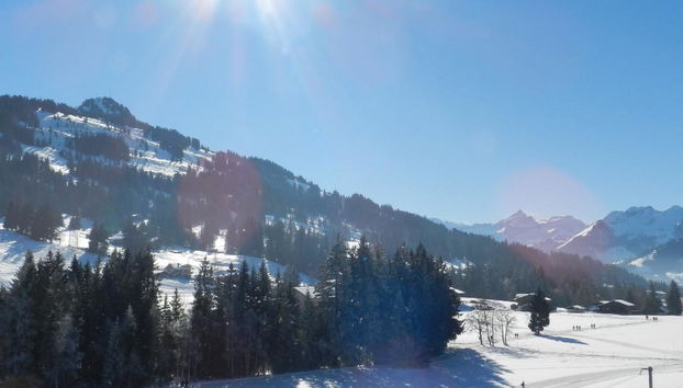 Apartamento de 2 quartos em Saanen - Foto 5