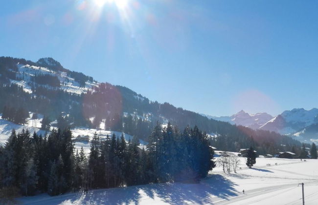 Apartamento de 2 quartos em Saanen - Foto 5