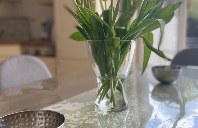 Casa de 4 quartos em Norden com jardim e terraço - Foto 10