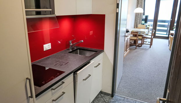 Apartment mit 1 Schlafzimmer in Disentis/Mustér mit schwimmbad und garten - Foto 4