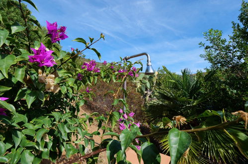 Photo 28 - Maison de 1 chambre à Capoliveri avec jardin et terrasse