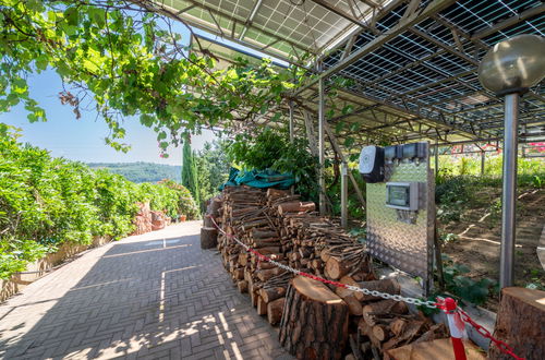 Foto 67 - Casa de 8 quartos em Montelupo Fiorentino com piscina privada e jardim