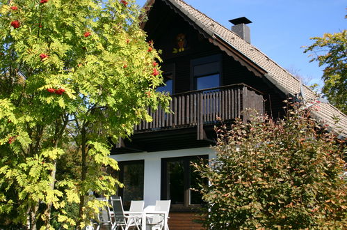 Foto 18 - Casa con 3 camere da letto a Frankenau con giardino e terrazza