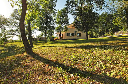 Foto 29 - Casa con 4 camere da letto a Buzet con piscina privata e giardino